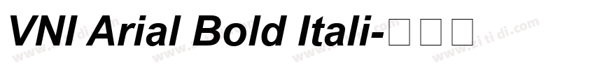 VNI Arial Bold Itali字体转换